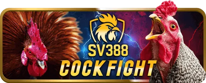 Quy định về gian lận tại vmax game
