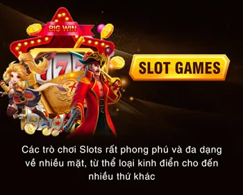 Hệ thống bảo mật vmax game